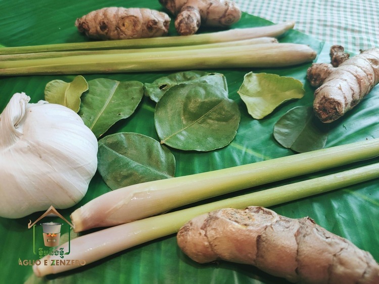 Citronella 